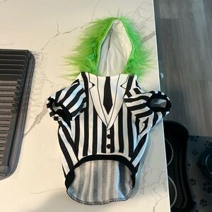 Dog Beetlejuice Costume small to medium dogs.